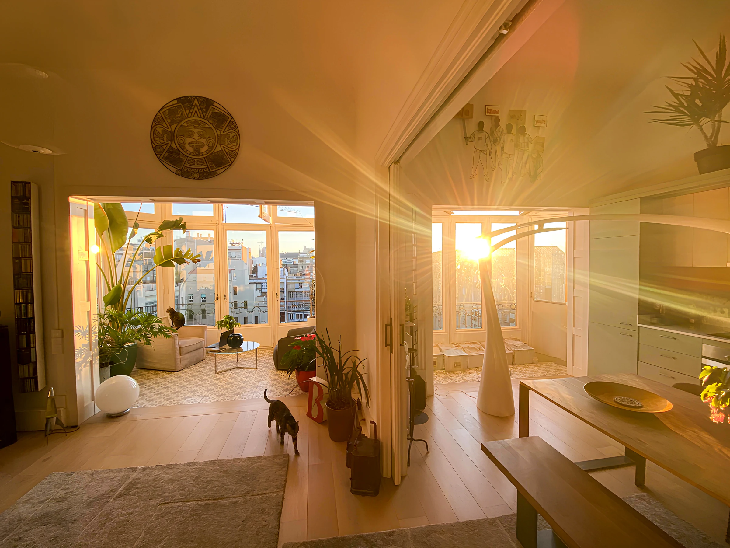 Warm evening sunlight filling my apartment in Barcelona